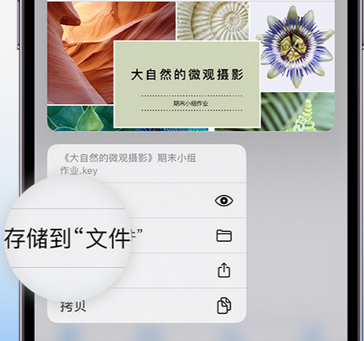 恭城apple维修中心分享iPhone文件应用中存储和找到下载文件