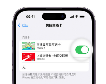 恭城apple维修点分享iPhone上更换Apple Pay快捷交通卡手绘卡面 