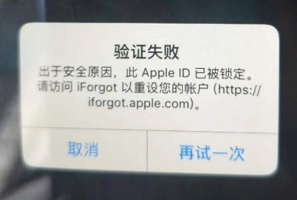 恭城iPhone维修分享iPhone上正常登录或使用AppleID怎么办 