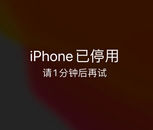 恭城苹果手机维修分享:iPhone 显示“不可用”或“已停用”怎么办？还能保留数据吗？ 