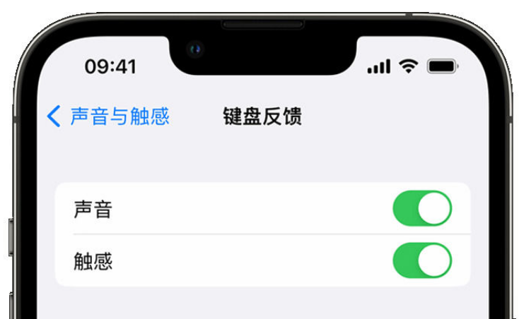 恭城苹果手机维修分享iPhone 14触感键盘使用方法 