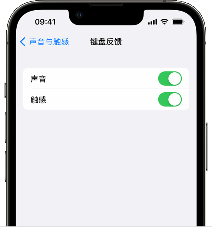 恭城苹果14维修店分享如何在 iPhone 14 机型中使用触感键盘 