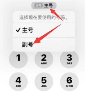 恭城苹果14维修店分享iPhone 14 Pro Max使用副卡打电话的方法 