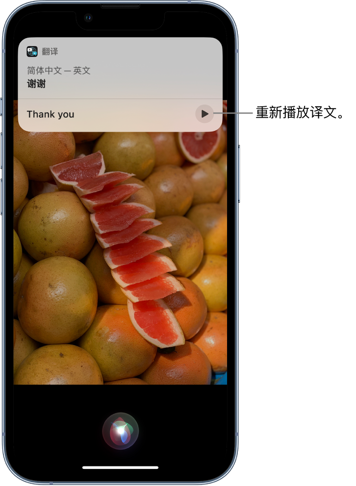 恭城苹果14维修分享 iPhone 14 机型中使用 Siri：了解 Siri 能帮你做什么 