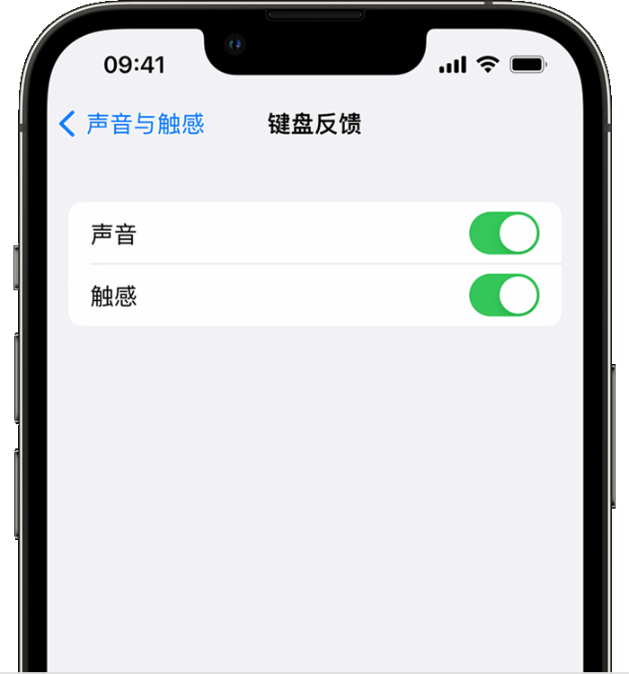 恭城苹果14维修分享iPhone 14 系列机型如何开启键盘声音或触感反馈 
