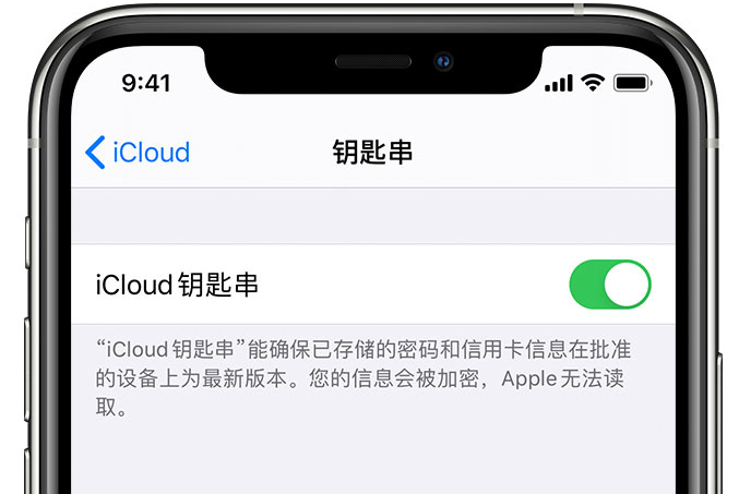 恭城苹果手机维修分享在 iPhone 上开启 iCloud 钥匙串之后会储存哪些信息 