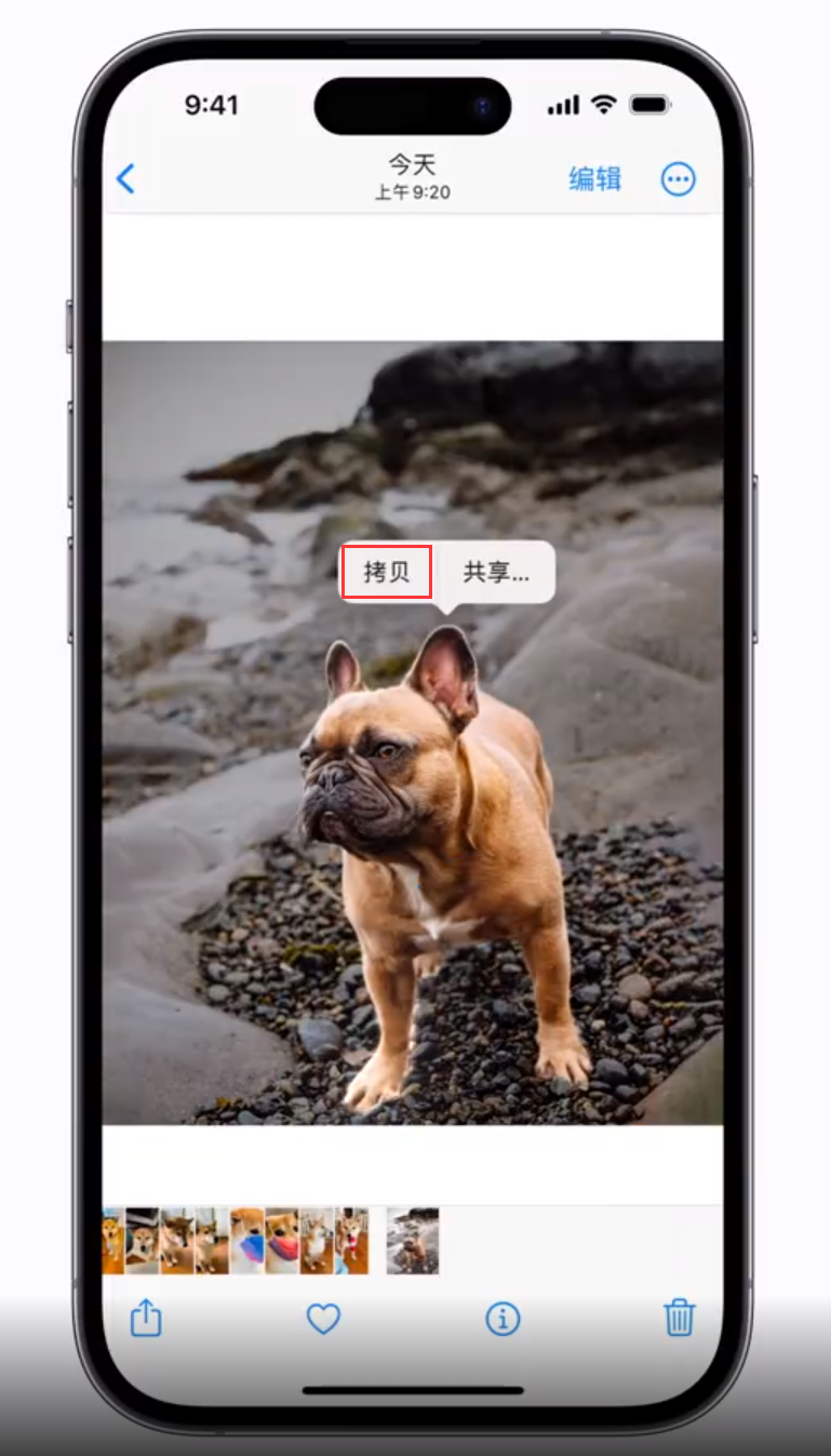 恭城苹果手机维修分享 iOS 16 自带一键抠图功能 