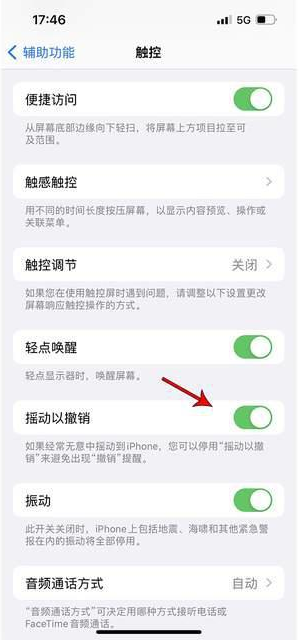 恭城苹果手机维修分享iPhone手机如何设置摇一摇删除文字 