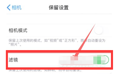 恭城苹果13维修分享iPhone13拍照有绿点是怎么回事 