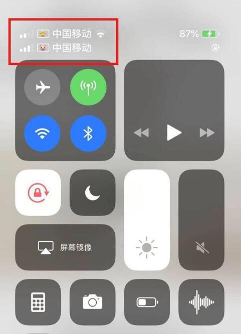 恭城苹果手机维修分享为 iPhone 12 双卡设置标签 